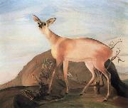 Kosztka, Tivadar Csontvry Deer oil painting